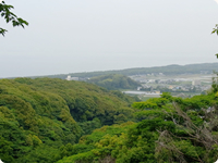 美しい風景